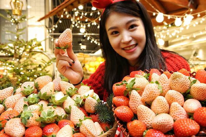 29일 현대백화점 무역센터점 식품관에서 모델이 '만년설 딸기'를 소개하고 있다.  [사진제공 : 현대백화점]