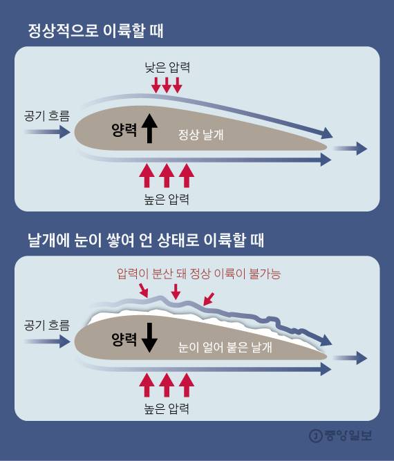 그래픽=김영옥 기자 yesok@joongang.co.kr