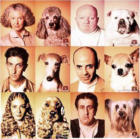 누가 반려견과 가장 닮았나요? - 세자르 광고 제공