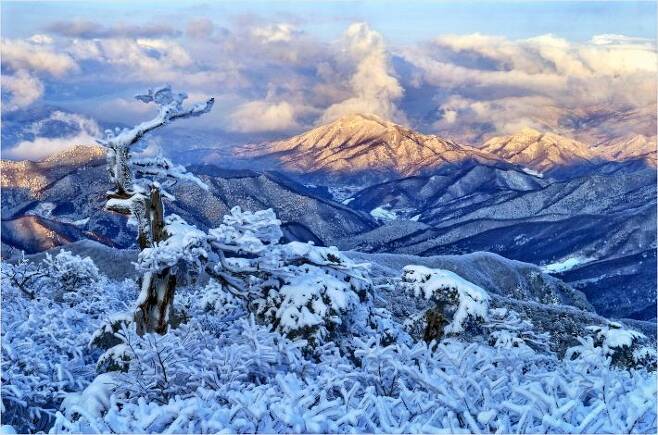 하얀 눈이 쌓인 환상적인 설경을 자량하는 민족의 영산 태백산의 겨울은 눈꽃축제를 보러 몰려드는 여행객들로 제법 분주하다(사진=한국관광공사 제공)