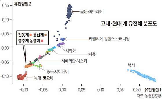 고대·현대 개 유전체 분포도