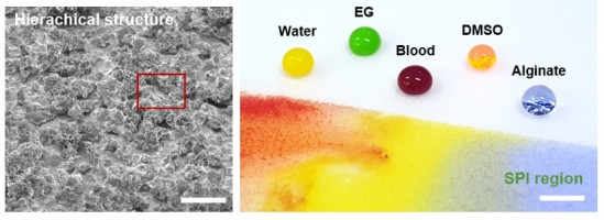 초소유성 표면의 SEM 이미지(왼쪽)와 표면 위에서의 액체 사진(오른쪽). - KIST 제공