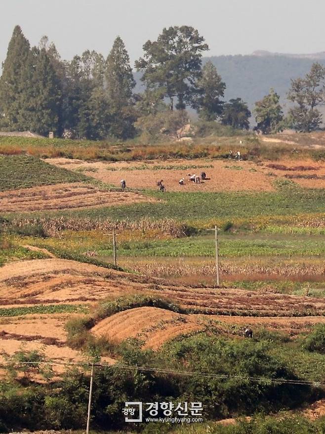 지난해 9월 28일 오전 북한 기정동 마을에서 북한 주민들이 농사를 하고 있다. 연합