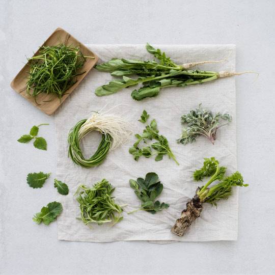 서울 삼성동 파크 하얏트 서울이 21일 봄 미각을 깨우는 '봄나물 프로모션'을 시작했다. 24층 최고층에 위치해 자연채광과 아름다운 야경을 자랑하는 더 라운지에서 향긋한 제철 나물들을 활용한 '봄나물 프로모션'을 연다. 3월 21일부터 4월 4일까지 운영한다. 식사 요리부터 디저트까지 다양한 종류의 나물을 활용한 맛 좋고 영양가 높은 모던 한식 요리다. 저녁 코스 1인 기준 9만원, 단품 요리는 2만 9000원(부가세 포함 봉사료 없음, 이하 동일)부터 형성된다. 파크 하얏트 서울 제공