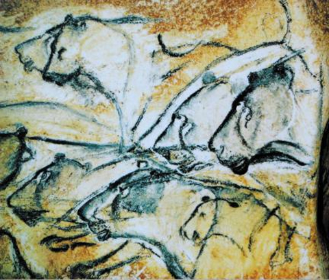 3만 년 전 프랑스 쇼베 동굴에 그려진 사자 그림. 호모사피엔스는 창을 던지는 사냥을 오래한 덕분에 시각과 운동을 일치시키는 능력이 발달해 그림을 그릴 수 있었다는 주장이 나왔다. /UC데이비스