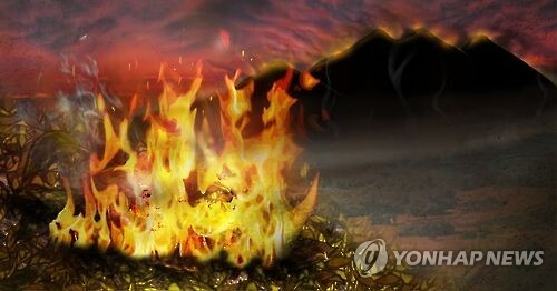 건조주의보 화재 산불(pg) [제작 조혜인] 일러스트