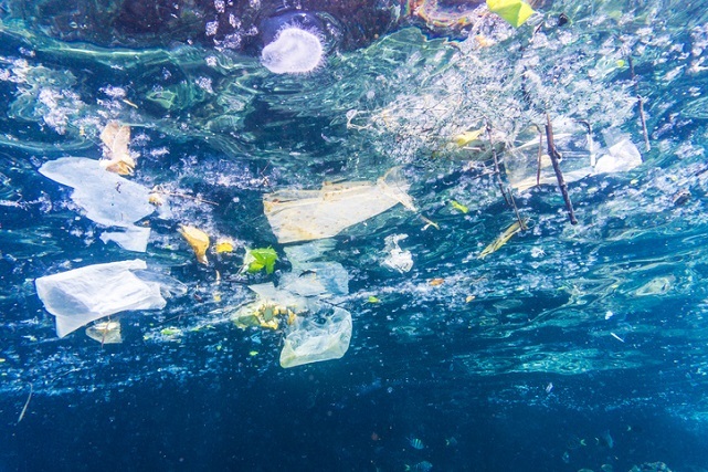 타이의 관광지 피피섬 바다의 플라스틱 오염 모습. 게티이미지뱅크 제공