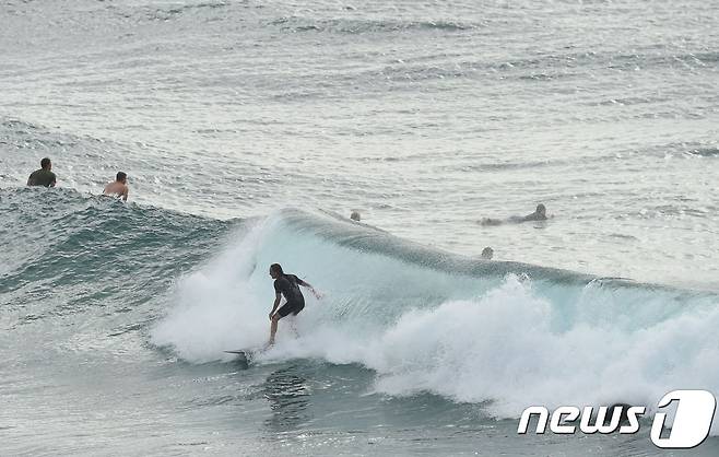 바다에서 서핑중인 사람들.© AFP=뉴스1