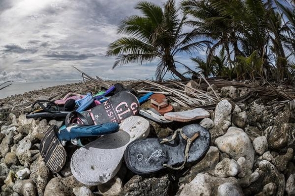 매년 800만 톤의 플라스틱 쓰레기가 바다로 흘러간다./그린피스 제공