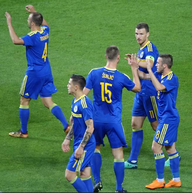 1일 오후 8시 전주월드컵경기장에서 열린 대한민국과 보스니아 헤르체고비나의 친선 경기에서 선제골에 성공한 보스니아 선수들이 기쁨을 나누고 있다. ⓒ이근승