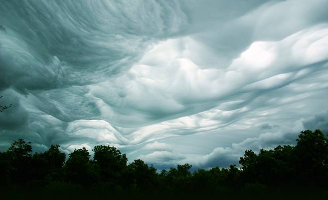 Elaine Patrick, Cloud Appreciation Society 제공