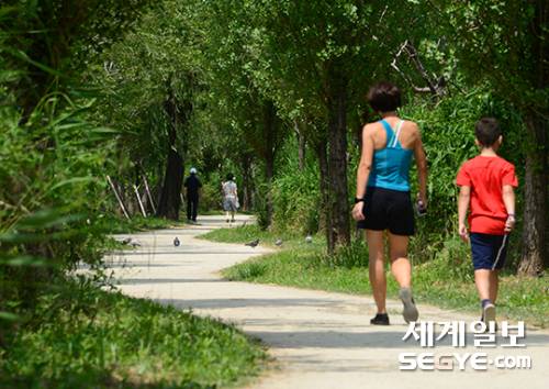 23일 서울 용산구 이촌한강에서 시민들이 가로수 길을 걸으며 여유로운 주말을 즐기고 있다.