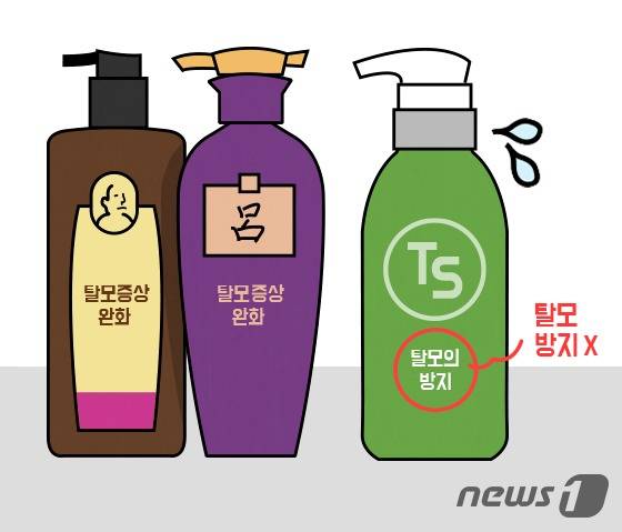 © News1 방은영 디자이너