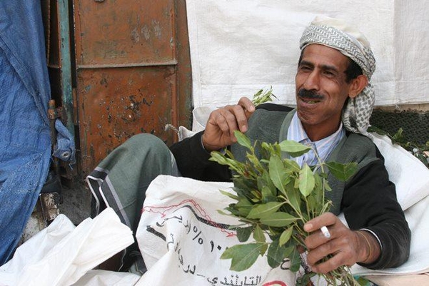 향정신성 식물 ‘카트’를 씹고 있는 중동인. 카트는 에티오피아, 예멘 등에서 불법이 아닌 허가된 오락이다.  /위키피디아