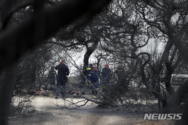 【마티(그리스)=AP/뉴시스】그리스 소방관들이 24일 아테네 북동쪽 마티에서 불에 타 죽은 시신들이 널려 있는 화재 현장을 조사하고 있다. 강풍으로 산불이 계속 확산되고 있는 가운데 최소 50명이 사망한 것으로 우려되고 있다. 2018.7.24