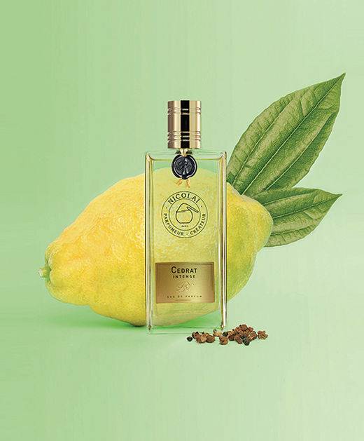 니콜라이 세드라 인텐스