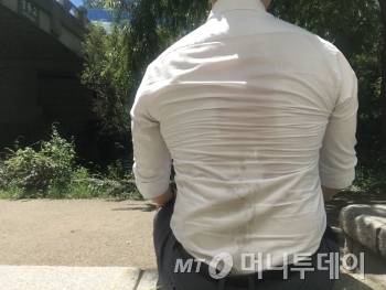 양산을 안 쓰고 청계천을 10분간 걸었을 때 흘린 땀. 얼마나 더운지 보여줄 방법이 없어 불가피하게 셀프로 등의 땀을 찍었다./사진=남형도 기자