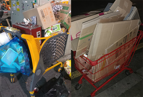 버려진 카트에는 각종 생활 쓰레기와 음식물 쓰레기가 담겨 있다. 쇼핑 카트는 쓰레기와 함께 분리수거용 도구로 사용되고 있다.