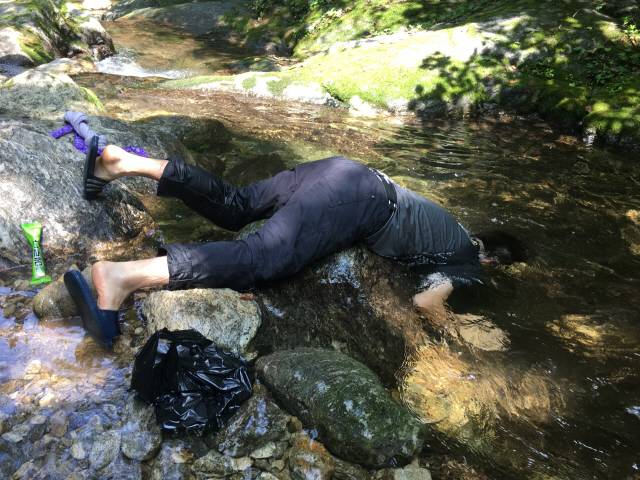 희한하게 머리부터 입수하시는 분