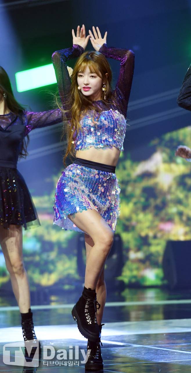 티브이데일리 포토