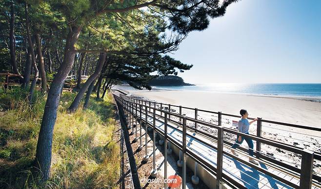 서해와 일몰을 한눈에 볼 수 있는 천리포수목원의 ‘노을길’/김종연 영상미디어 기자