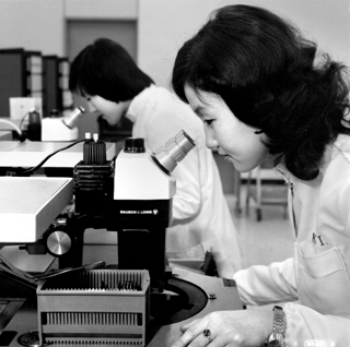 1970년대 중반 한국반도체(삼성반도체의 전신) 직원들이 웨이퍼 검사(wafer inspection)를 하는 장면. /강기동 제공