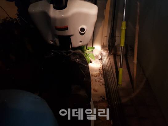 서울 한강공원 인근 아파트에서 흔히 볼 수 있는 쥐구멍 (사진=손의연기자)