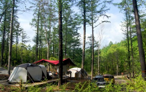 산림청 최초의 숲속야영장인 국립화천숲속야영장 모습.