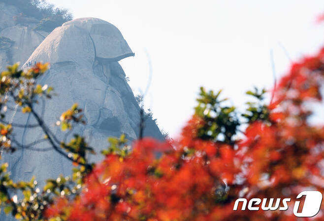 14일 서울 북한산국립공원 인수봉 귀바위에서 암벽 등반가들이 바위를 오르고 있다. 2018.10.14 © News1 오대일 기자