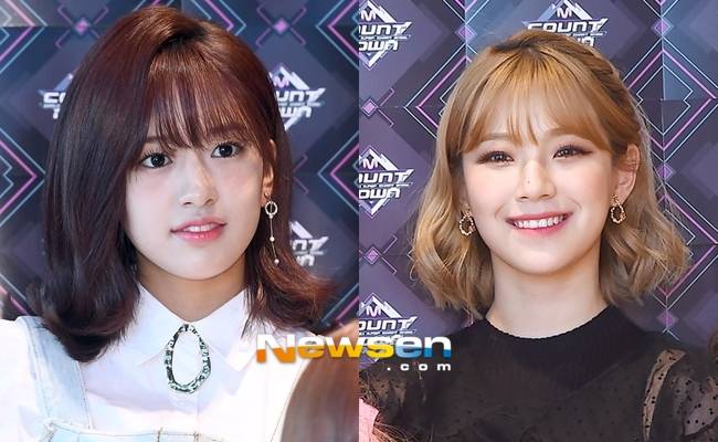 왼쪽부터 안유진, 백지헌