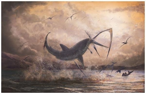 상어에게 잡아먹히는 프테라노돈 상상도 [마크 위튼 제공/Hone D.W.E., Witton M.P., Habib M.B. 2018.   Evidence for the Cretaceous shark Cretoxyrhina mantelli feeding on the pterosaur Pteranodon from the Niobrara Formation. PeerJ 6:e6031]