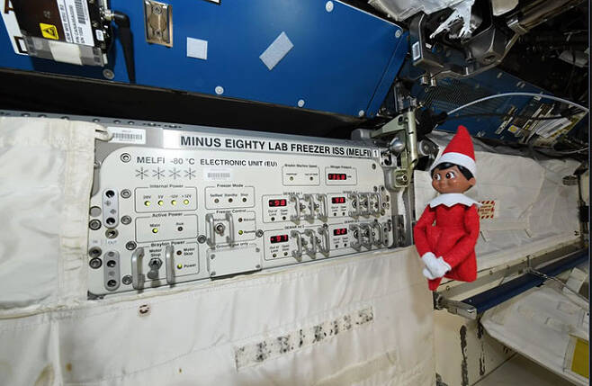 ISS의 냉동고인 MELFI 옆에 있는 엘프. 앤 맥클레인