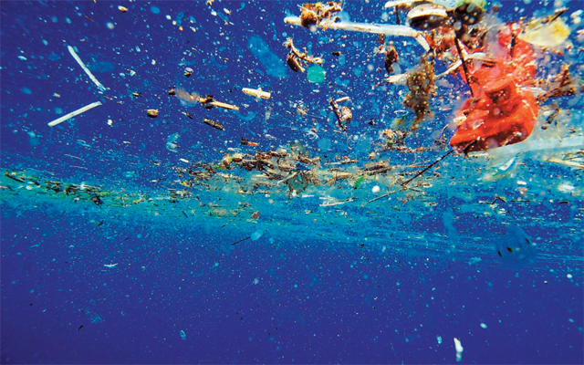 육지를 넘어 바다까지 진출한 플라스틱 폐기물이 큰 문제가 되고 있다. 미생물에 의해 빠른 속도로 자연 분해되는 친환경 플라스틱 개발이 시급해진 이유다. 블루픽셀이미징 제공