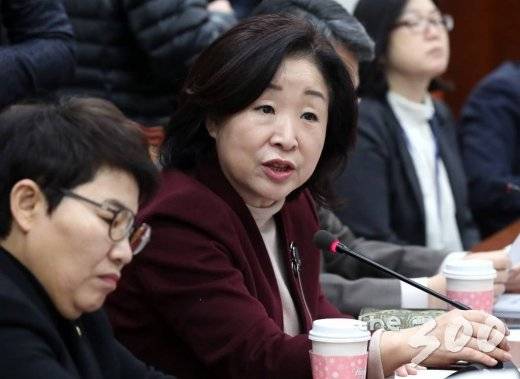 정의당 심상정 의원이 8일 오전 서울 여의도 국회에서 열린 정치개혁 특별위원회 제1소위 회의에서 발언하고 있다.