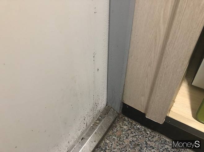 현관에 물방울이 맺힌 모습. /사진=정모씨 제공