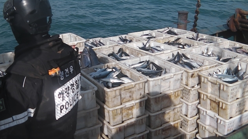 목포해경, 어획량 속인 중국어선 나포 [목포해양경찰서 제공]