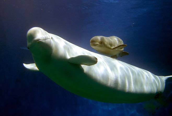 사진=신화통신 연합뉴스