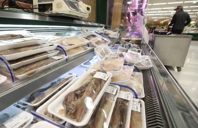 지난해 16일 서울 시내의 한 대형마트 생선 판매대에 오징어가 진열돼 있다. 오징어 생산량이 극도로 감소함에 따라 오징어 가격은 평년과 비교하면 최대 93%까지 올랐다. 연합뉴스 제공