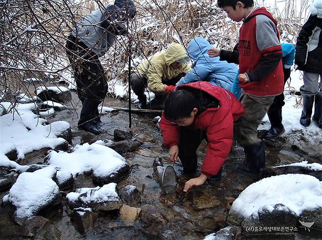 홀로세생태보존연구소 근처 계곡에서 수서곤충을 채집 중인 모습