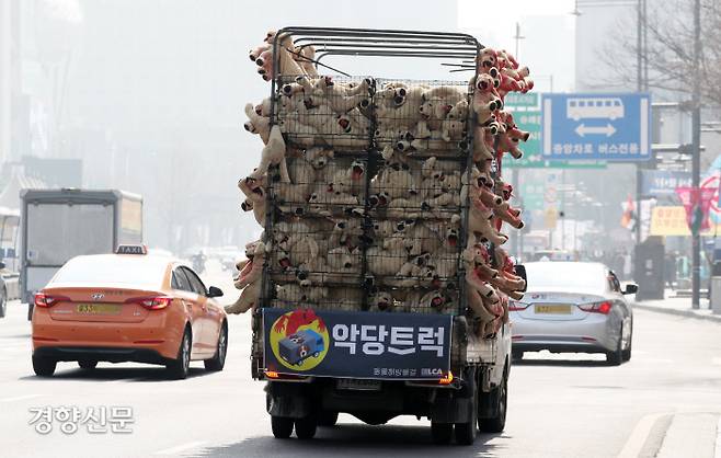 21일 동물해방물결 등 동물권단체 회원들이 ‘동물 임의도살 금지법’ 통과를 위해 인형으로 재현한 ‘악당트럭’이 서울 광화문 세종대로를 달리고 있다.