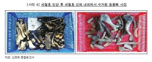 세월호 인양후 선체 내외에서 수거된 동물뼈 [감사원 제공]