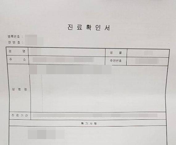 진료확인서의 경우 상한액은 3천원이었지만 병원마다 가격은 천차만별이다. /사진=이혁 기자