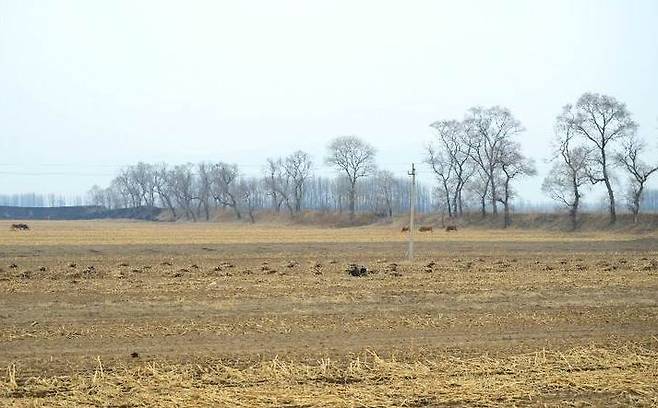 고구려의 책성으로 비정되는 온특혁부성: 온특혁부성은 금나라 때의 이름이다. 이 성의 북쪽에는 요, 금 때의 성곽인 비우성(裵優城)이 쌍둥이처럼 나란히 붙어 있다.