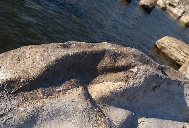 유리섬유가 선명하게 드러난 일산호수공원 폭포앞 인조암.