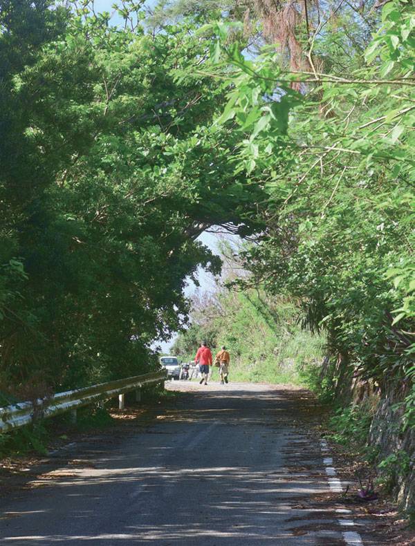 요론섬은 이틀 정도면 도보로 완주할 수 있는 작은 섬이다