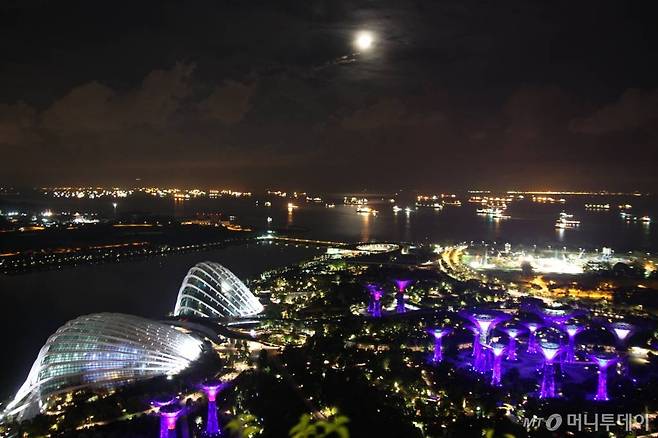 대형카지노가 입점해 있는 싱가포르 마리나베이샌즈호텔의 모습. /사진=머니투데이