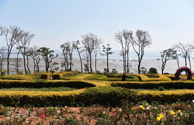 쇠섬 전체가 휴양단지로 조성돼 있다. 정원과 바다를 거닐어도 좋다.