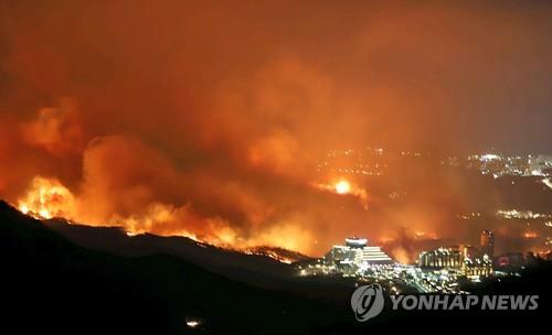 강원 산불 [연합뉴스 자료사진]