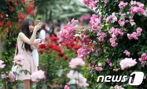 2016.6./뉴스1 © News1 오대일 기자