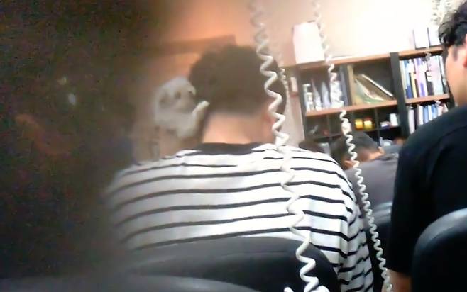 6월20일 경기도 광주 △△경매장에서 한 낙찰자가 강아지 건강 상태를 확인하기 위해 심장 소리를 듣고 있다.